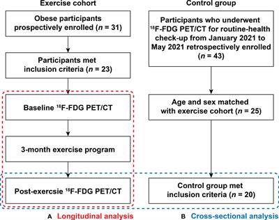 Chronic physical exercise alleviates stress-associated amygdala metabolic activity in obese women: A prospective serial 18F-FDG PET/CT study